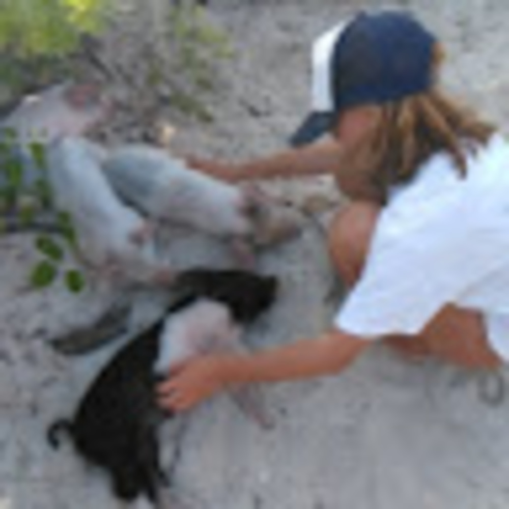 Meet your Posher, Esme